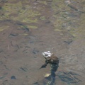 201105251057-DSC06637.jpg