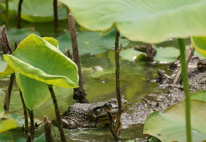 201105261327-DSC07357.jpg