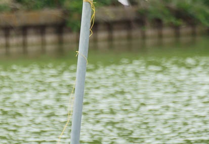 201105261332-DSC07371.jpg