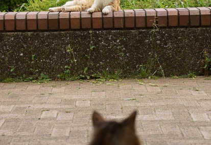 201105261343-DSC07402.jpg