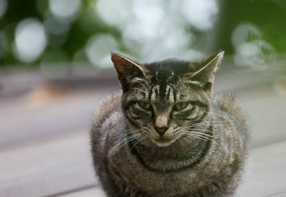 201105261426-DSC07523.jpg