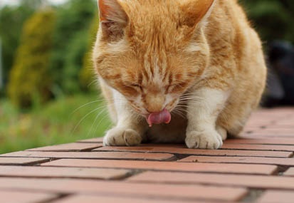 201105261511-DSC07698.jpg