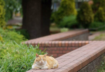 201105261519-DSC07717.jpg