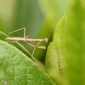 201105261544-DSC07764.jpg