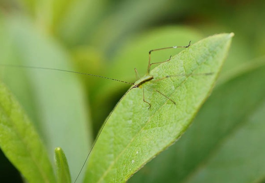 201105261604-DSC07829.jpg