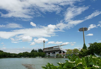 201105301311-DSC07875.jpg