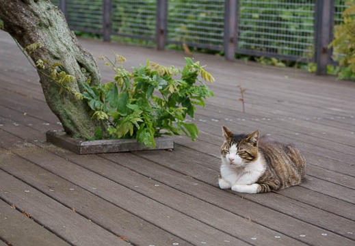 201105301418-DSC08041.jpg