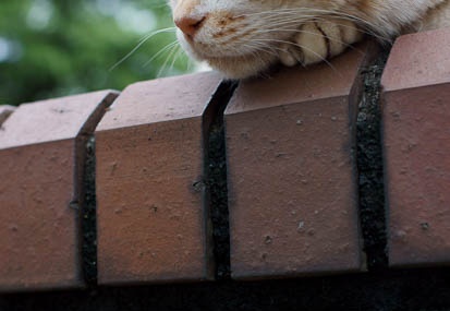 201105301427-DSC08080.jpg