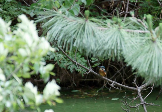 201105301456-DSC08230.jpg