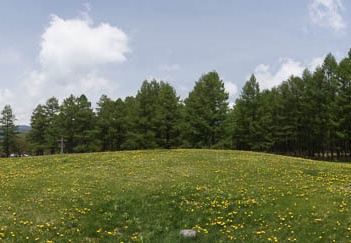 201105311124-DSC08808.jpg