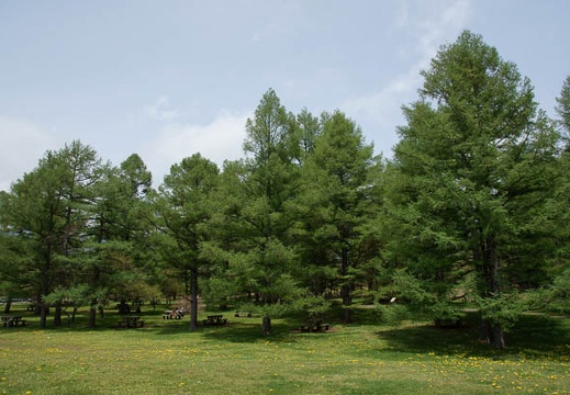 201105311129-DSC08817.jpg