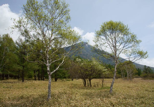 201105311131-DSC08819.jpg