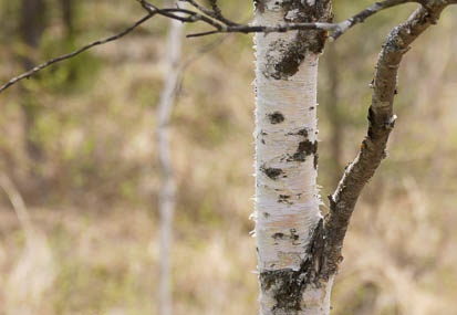 201105311146-DSC08839.jpg