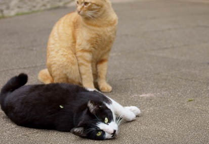 201106011422-DSC09523.jpg