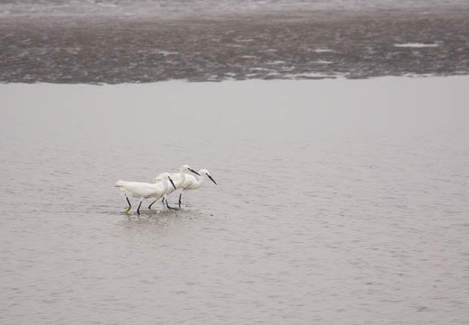 201106031024-DSC00274.jpg