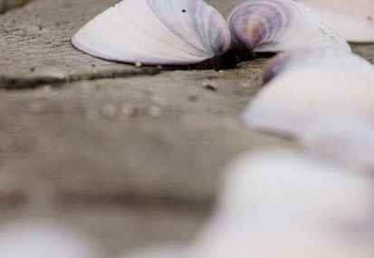 201106031027-DSC00294.jpg
