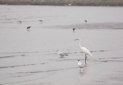 201106031053-DSC00573.jpg