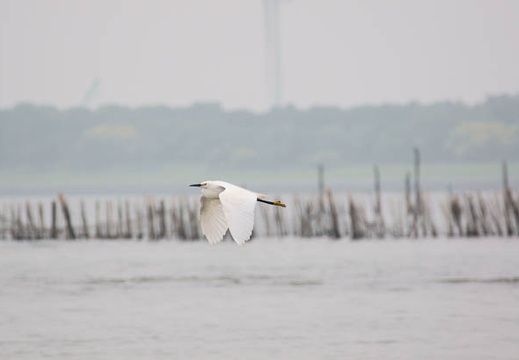 201106031102-DSC00671.jpg