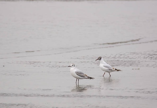 201106031103-DSC00692.jpg