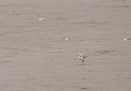 201106031120-DSC00814.jpg