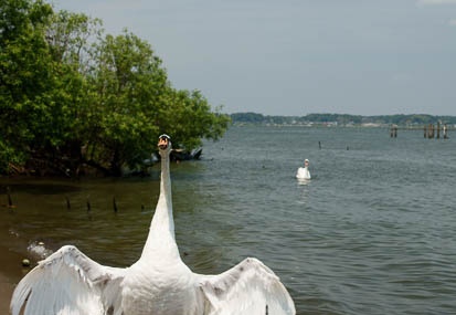 201106041236-DSC01541.jpg