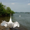 201106041236-DSC01541.jpg