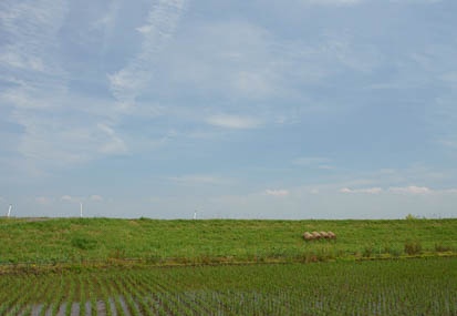201106041313-DSC01638.jpg