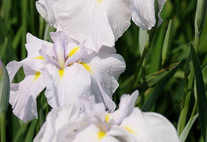 201106041414-DSC01719.jpg