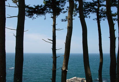 201106061027-DSC02129.jpg