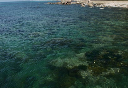 201106061331-DSC02336.jpg