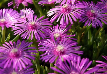 201106061539-DSC02415.jpg
