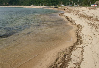 201106061631-DSC02441.jpg