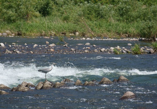 201106071019-DSC02586.jpg