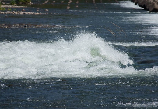 201106071024-DSC02620.jpg