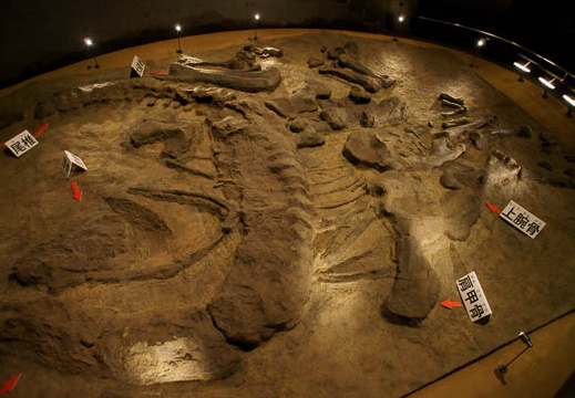 201106071130-DSC02714.jpg