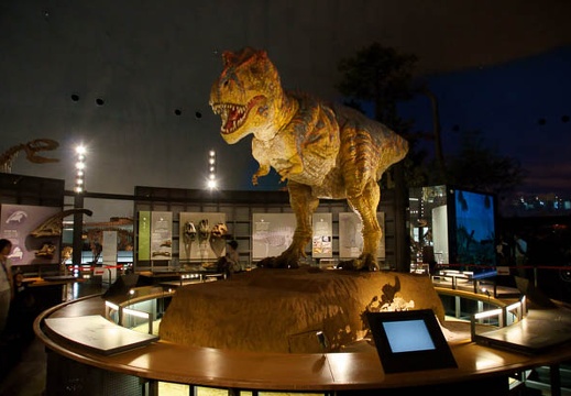 201106071131-DSC02718.jpg