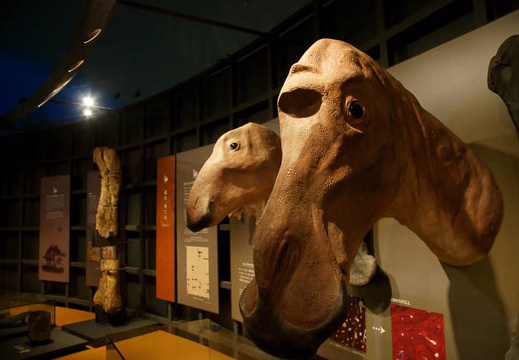 201106071132-DSC02724.jpg