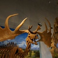 201106071158-DSC02812.jpg