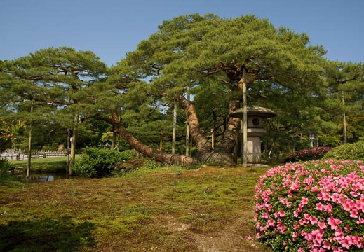 201106080921-DSC03301.jpg