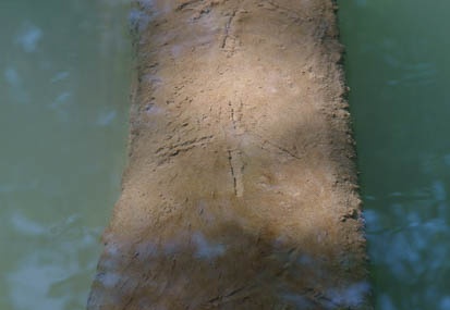 201106080933-DSC03322.jpg