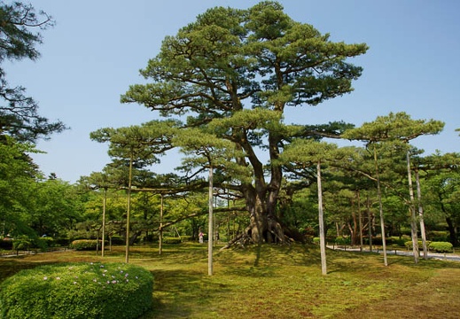 201106080954-DSC03359.jpg