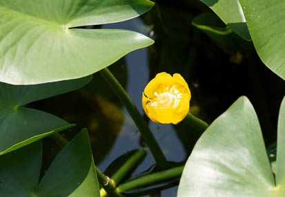 201106081218-DSC03615.jpg