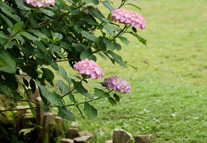 201106141116-DSC04789.jpg