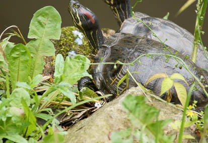 201106141229-DSC05034.jpg