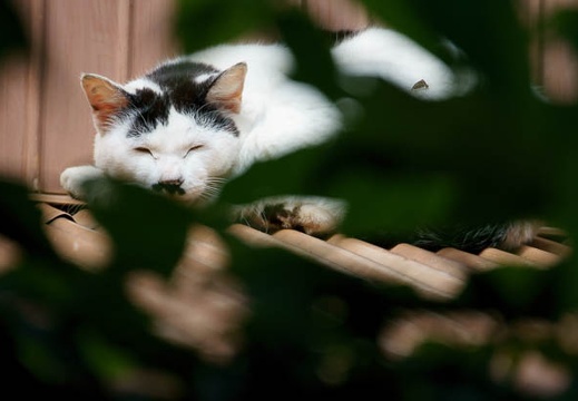201106141439-DSC05358.jpg