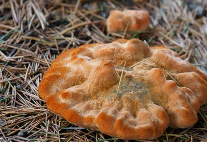 201106141501-DSC05419.jpg