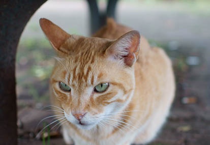 201106141511-DSC05438.jpg
