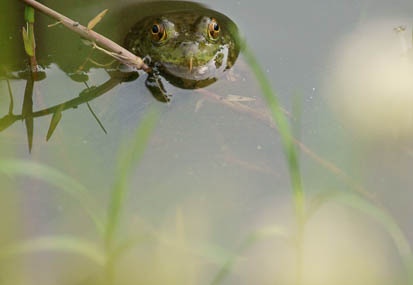 201106141556-DSC05544.jpg