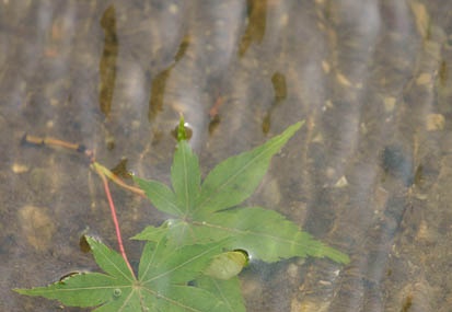 201106141601-DSC05568.jpg