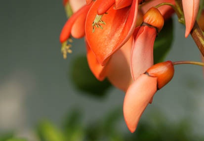 201106141609-DSC05589.jpg
